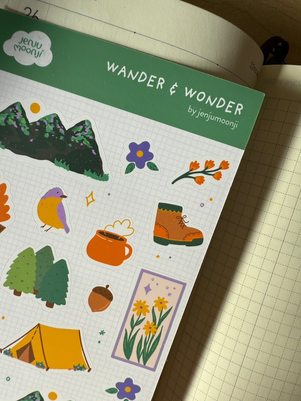 Wander & Wonder