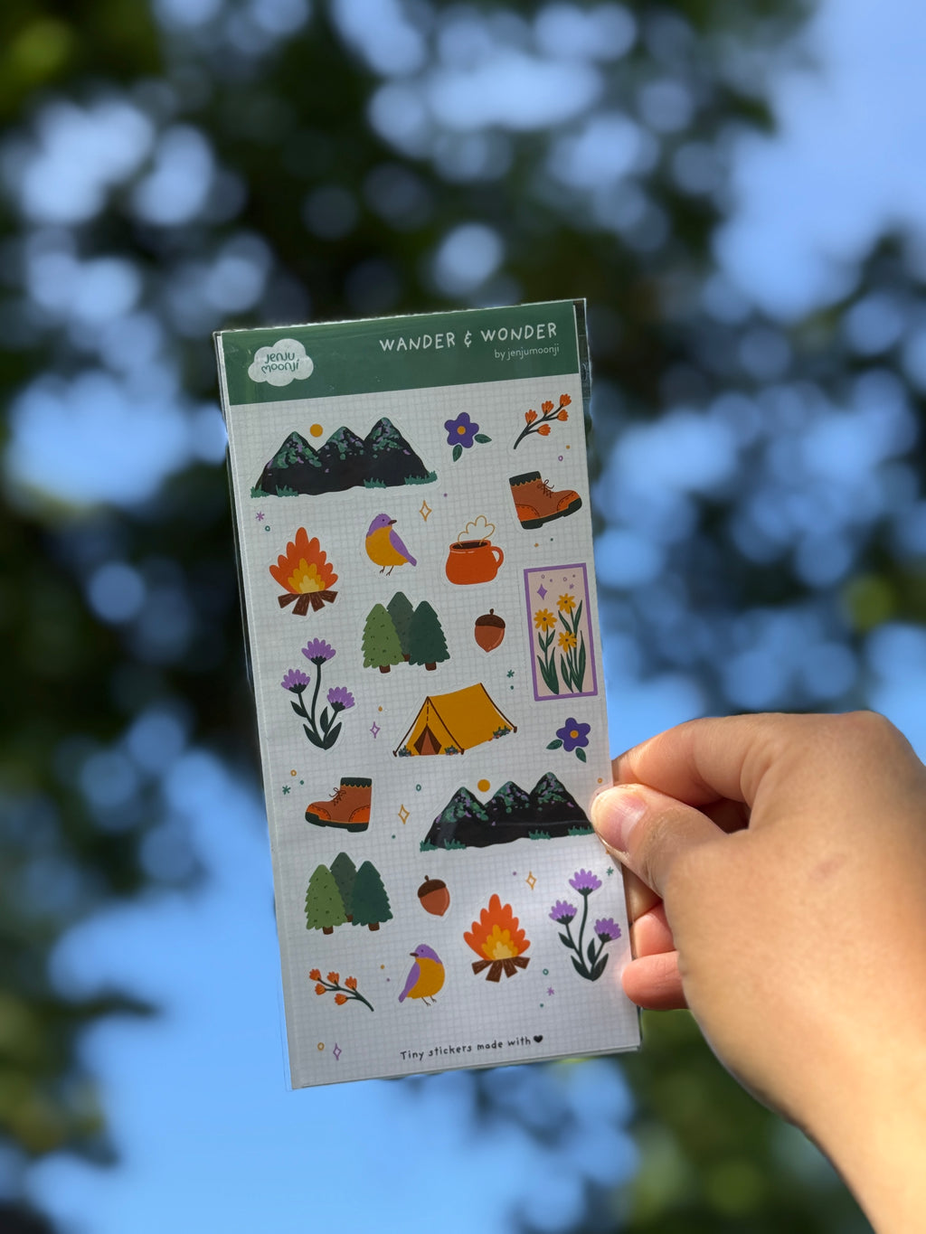 Wander & Wonder